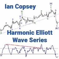 Ian Copsey – Harmonic Elliott Wave Series