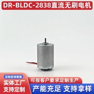 Hair Clipper Electric Clipper Vacuum Cleaner Dedicated Motor for Sweeping Robot DR-BLDC-2838 DC Brus