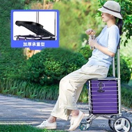 Big Wheel Portable Household Folding Elderly Shopping Cart Trailer Shopping Cart Trolley Cart Vegeta