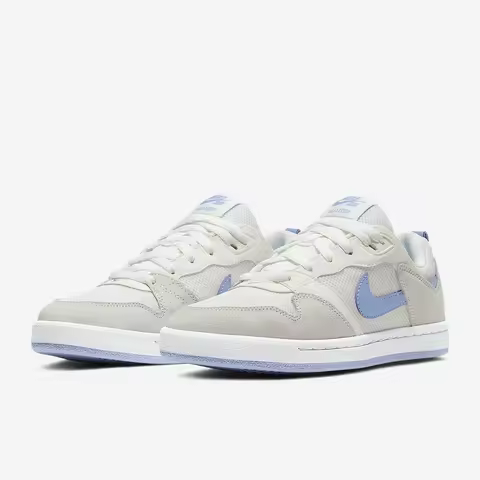 Nike Genuine SB ALLEYOOP Women's Low-Top Skate Shoes CQ0369-102