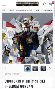 CHOGOKIN MIGHTY STRIKE FREEDOM GUNDAM超合金魂突擊自由高達極