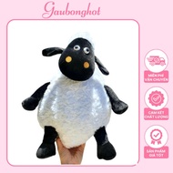 Cute Fat Teddy Bear, Sheep Teddy Bear - Hott Teddy Bear ️Vase Bear Factory ️ Plushie Teddy Bear