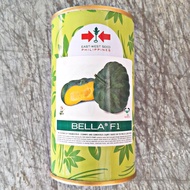 BELLA F1 HYBRID SQUASH (100 GRAMS APPROX. 850 SEEDS) KALABASA by EAST WEST SEED