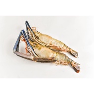 WHOLESALES 10KG | U7 FROZEN UDANG GALAH | FRESH WATER PRAWN | 大头生虾