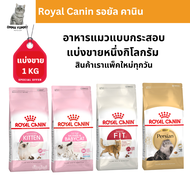 Royal Canin รอยัล คานิน อาหารแมว แบ่งขาย1กิโลกรัม อาหารแมวพรีเมียม อาหารแมว อาหารแมวแบบเม็ด