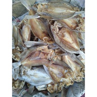 IKAN KERING GELAMA READY STOCK VIRAL KURANG MASIN