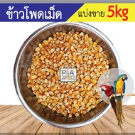 [ชนิดแบ่งขาย 5กก]  ข้าวโพดเม็ด_สำหรับสัตว์เลี้ยง นก ไก่