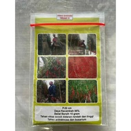 Benih cabe AWE ACEH 10 gram - Cabe Merah Keriting AWE ACEH - Bibit