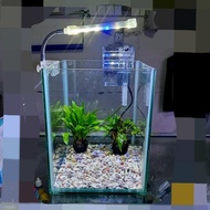 AQUARIUM AQUASCAPE GAK PERLU CO2 PAKET KOMPLIT FILTER DAN LAMPU BISA BUAT CUPANG-Citadel Store