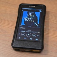 Sony wm1z
