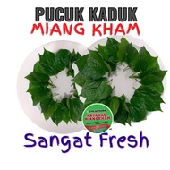 20 SEN DAUN KADUK MIANG KHAM SALAD THAI ULAM  WILD PIPER . SIREH MIANGKHAM COLEK KADUK ,19SEN SAJA