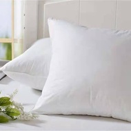 Chinee Magic Throw Pillow Plain White (17"x17") Square Pillow, Fiber Pillow, Vacuum Sealed