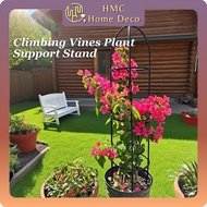 Climbing Vines Plant Support Stand Squirrel Design Lattice Flower Stand Plant Support Rack