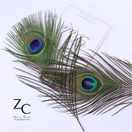 Short Peacock Feather 25cm Retail - Synthetic Peacock Feather