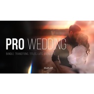 Pro Wedding Bundle Premiere Pro Videohive | Transitions, Titles, LUTs, Overlays | Quarz Cinematic Pa