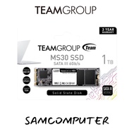 Team Group MS30 1TB SSD M.2 2280 SATA III 6Gbps