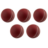 Sports Cricket Training Cricket Sports Wind Swing Rebound Cricket Elastic Decompression Ball