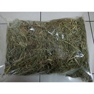 Timothy Hay Kering 500 gram Untuk Arnab Guinea pig