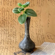 馬來西亞 Royal Selangor皇家雪蘭莪錫製花器│懷舊復古