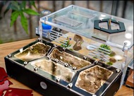 亞克力小昆蟲(螞蟻) 飼養箱