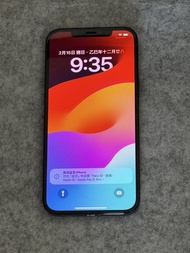 [議價不回] Apple iPhone 12 Pro Max 256G Blue 蘋果