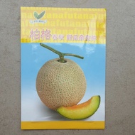 Futana Rock Melon seeds 伯格网纹甜瓜 100pcs