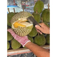 5box x Blackgold Musang King Pahang Malaysia Freshly Dehusked - Time to love durian
