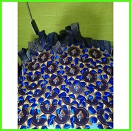 ◇ ◳ Garland Lei for Guests/VIP