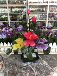 Cây Hoa Trà ngũ sắc phong thủy trang trí bàn làm việc- Cao 30 cm