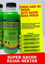Super gacor rujak nektar kilobri konin auto gacor buka paruh