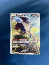 PTCG 寶可夢卡牌 烏鴉頭頭V SR 異圖