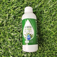 Money Tree Special Nutrient Solution Plant Regenerator Nutrient Solution Soil Activator Hydroponic G