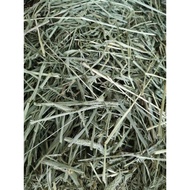 Timothy Hay 1kg Rumput Kering Timothy