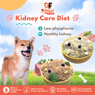 DF Kidney Care Dog Food (Renal Support) Fresh Dog Food Healthy Pet Food (10x Packs)