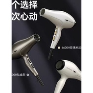 Fengzhifeng High Power 6600H+Quick-Drying Hair Dryer 6600H Hair Dryer Barber Shop Dedicated Hair Sal