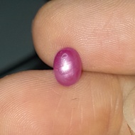 Natural Ruby Star Dim:est 7x5x3 mm 1.35 Ct Burmese Pinkish Color Fatwa Oval Cabochon Code A221