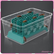 [ChiwanjicdMY] Reptile Food Cup Organizer Gecko Ventilated Bearded Dragon Accessories