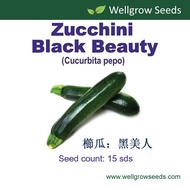 Zucchini (Japanese Cucumber) Black Beauty Organic Seeds (15 seeds) 櫛瓜：黑美人 Timun Jepun Organik