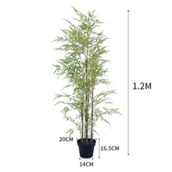 ต้นไผ่ทองปลอม Artificial Bamboo Trees ไม้ประดิษฐ์ ไม้มงคล Simulated Bamboo Plants ของตกแต่งบ้าน  Art