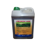 4L Morsh 40K Racun Keladi Agas