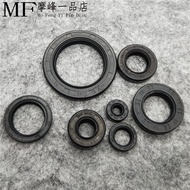 Motorcycle Accessories Earth Eagle King 250 DD250E CA250 Engine Whole Car Oil Seal Crankshaft Oil Se