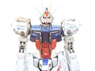 METAL BUILD 機動戰士鋼彈 SEED 強襲鋼彈 METAL BUILD 10th Ver.