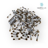 Set of 10pcs Ceramic Fuse 6.3A 250V 2.5A 250V