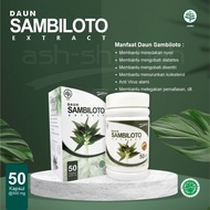 Kapsul Sambiloto Original Kapsul Daun Sambiloto Ash shihah ASLI Herbal - 50 Kapsul