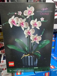 現貨 LEGO 10311 Orchid 蘭花
