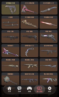 VALORANT 帳號