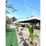 [1M x 1M] Carpet rumput / carpet hijau/ wedding runaway carpet