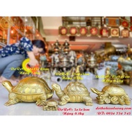 Bronze Feng Shui Tran Trach Turtle Statue 4 Sizes