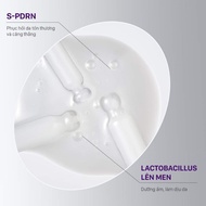 Cnp SKIN REJUVENATION PDRN ESSENCE