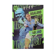 Panini Top Class 2025 - 201 Haaland (Impact Hero) Card
